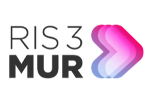 ris3mur